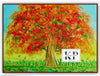 Chinar the essence